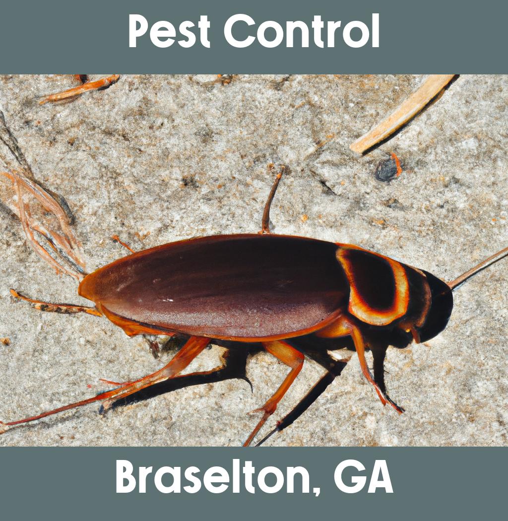 pest control in Braselton Georgia