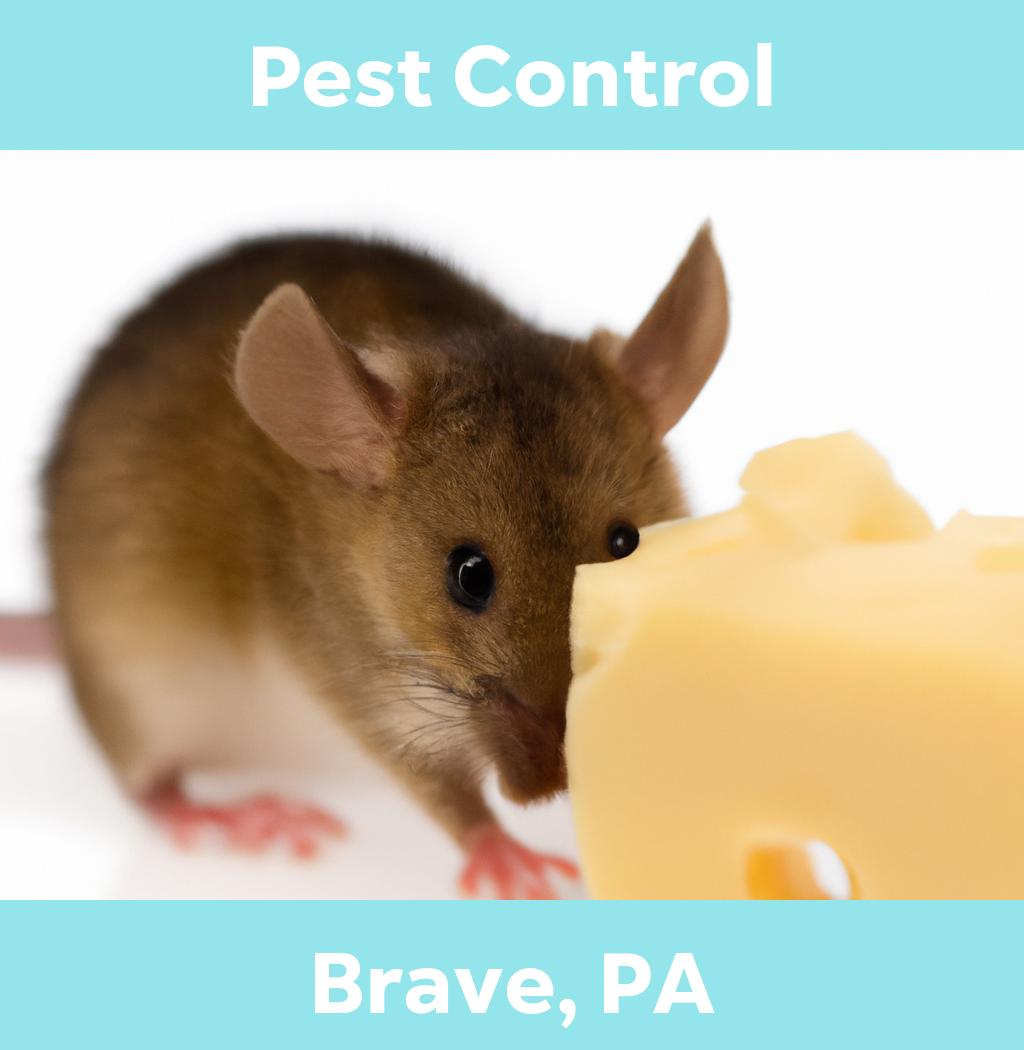 pest control in Brave Pennsylvania