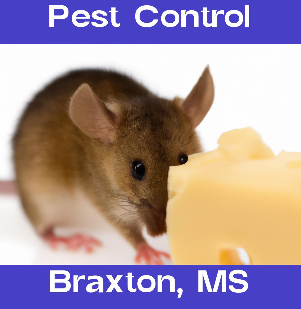 pest control in Braxton Mississippi