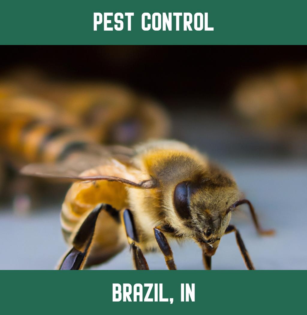 pest control in Brazil Indiana