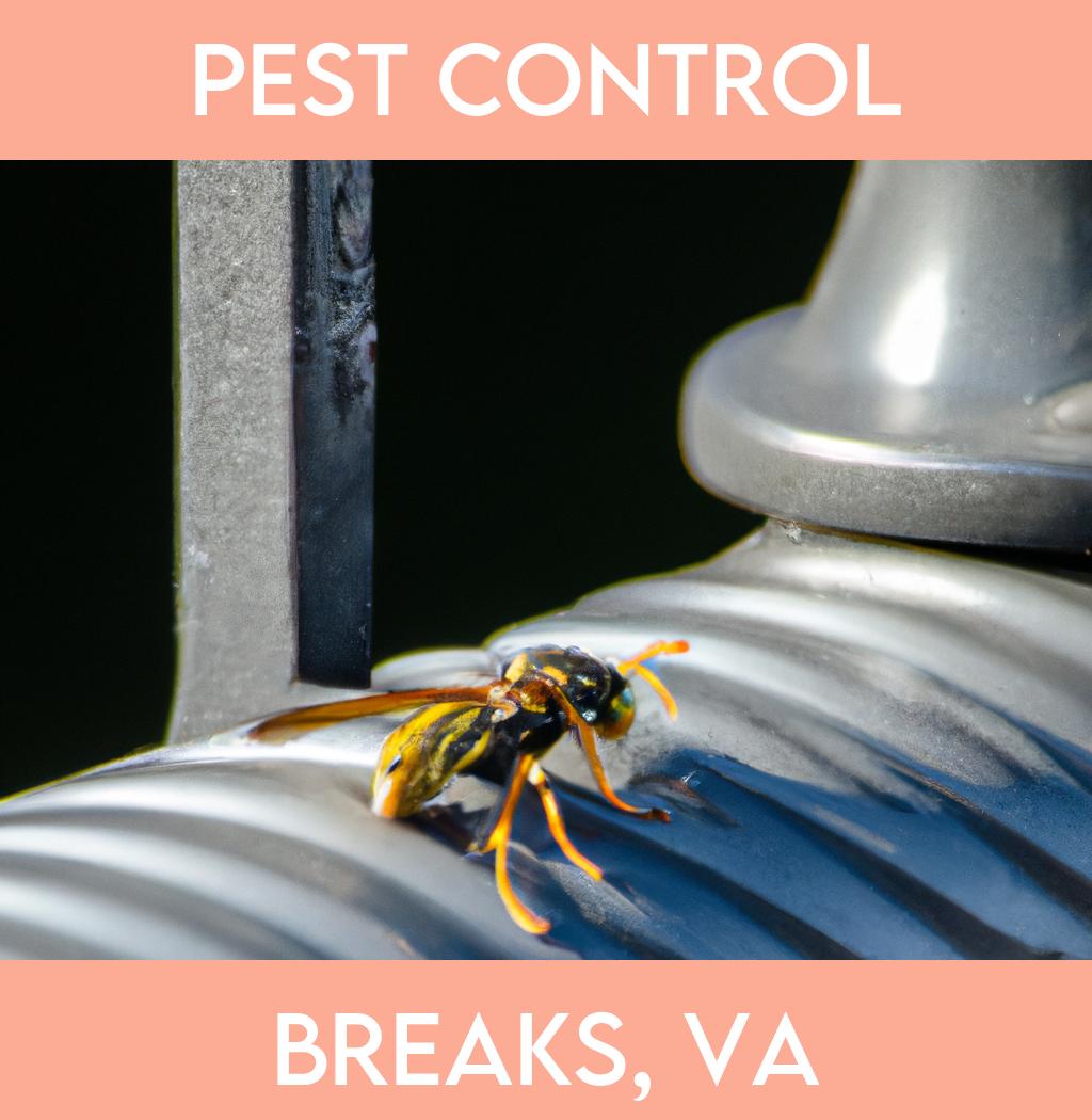 pest control in Breaks Virginia
