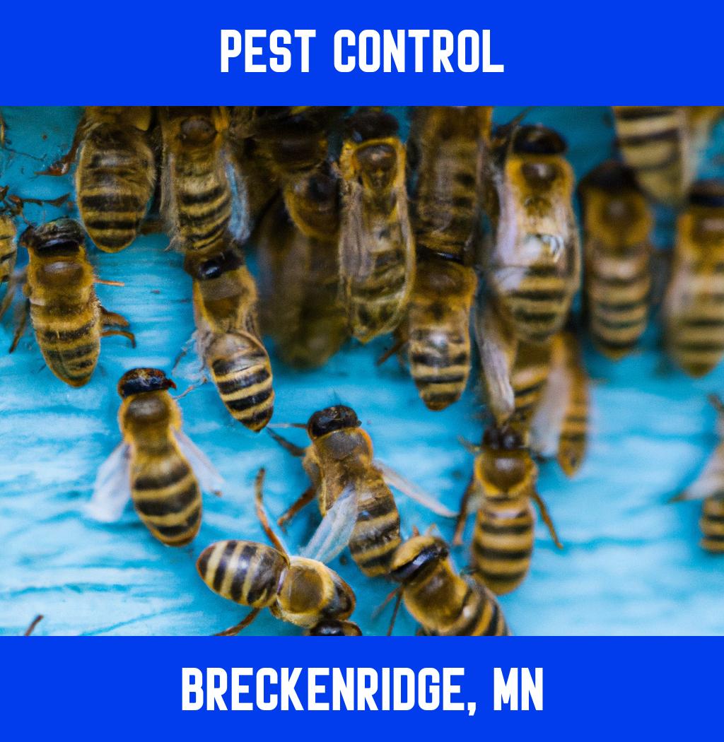 pest control in Breckenridge Minnesota