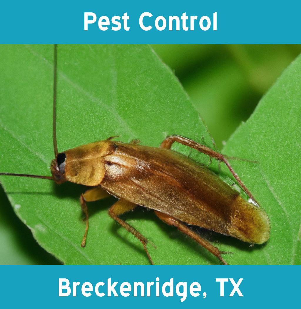 pest control in Breckenridge Texas