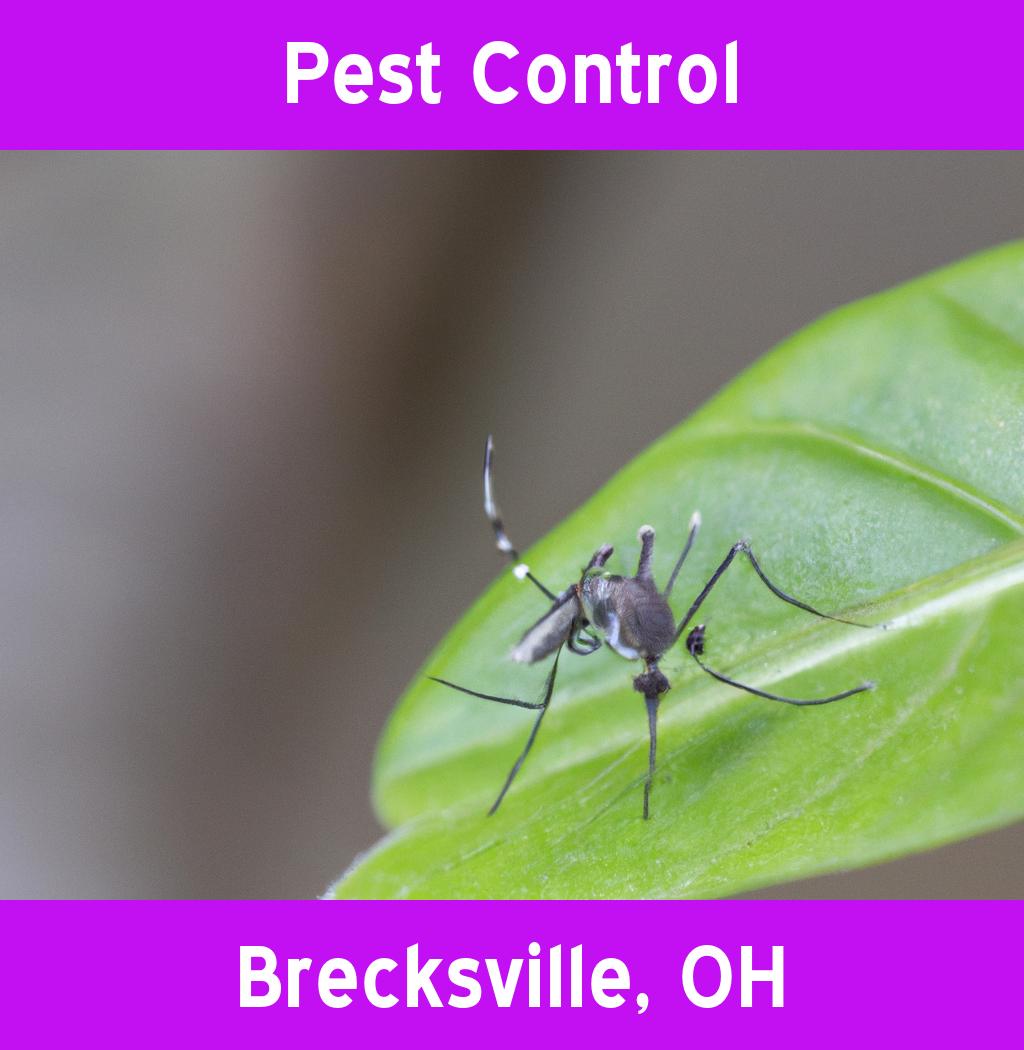 pest control in Brecksville Ohio