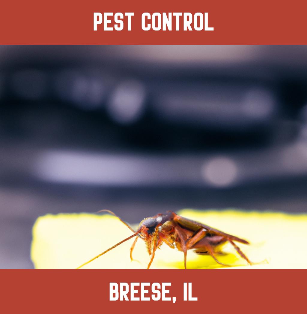 pest control in Breese Illinois