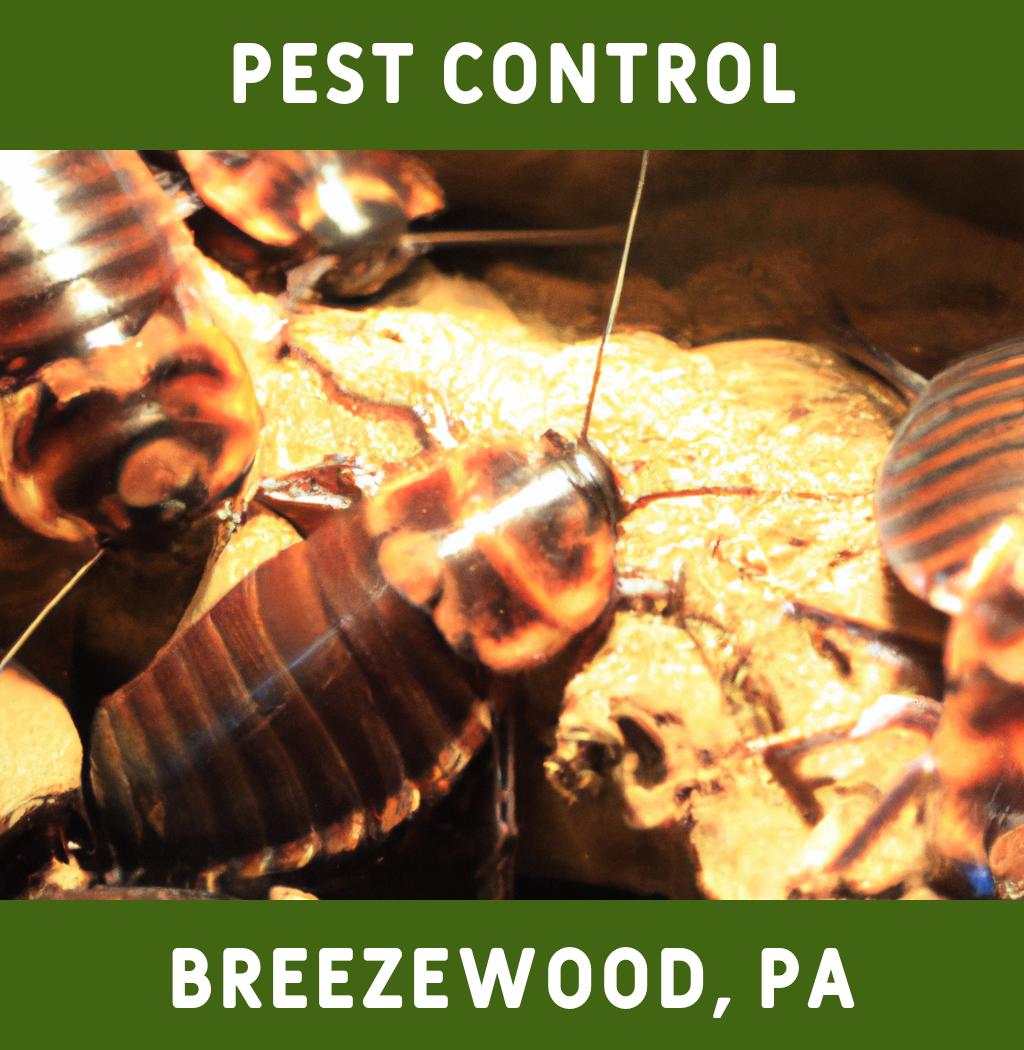 pest control in Breezewood Pennsylvania