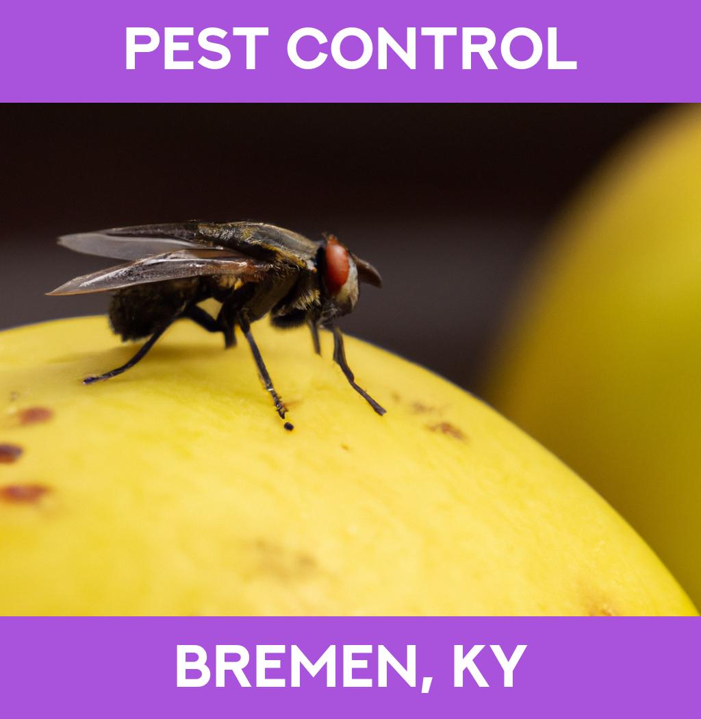 pest control in Bremen Kentucky