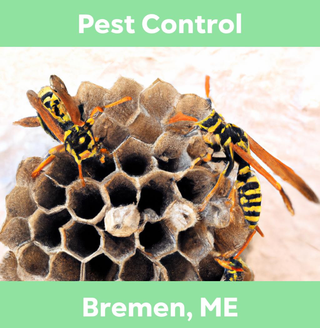 pest control in Bremen Maine