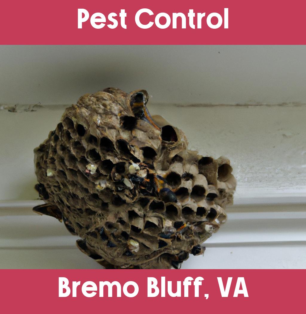 pest control in Bremo Bluff Virginia