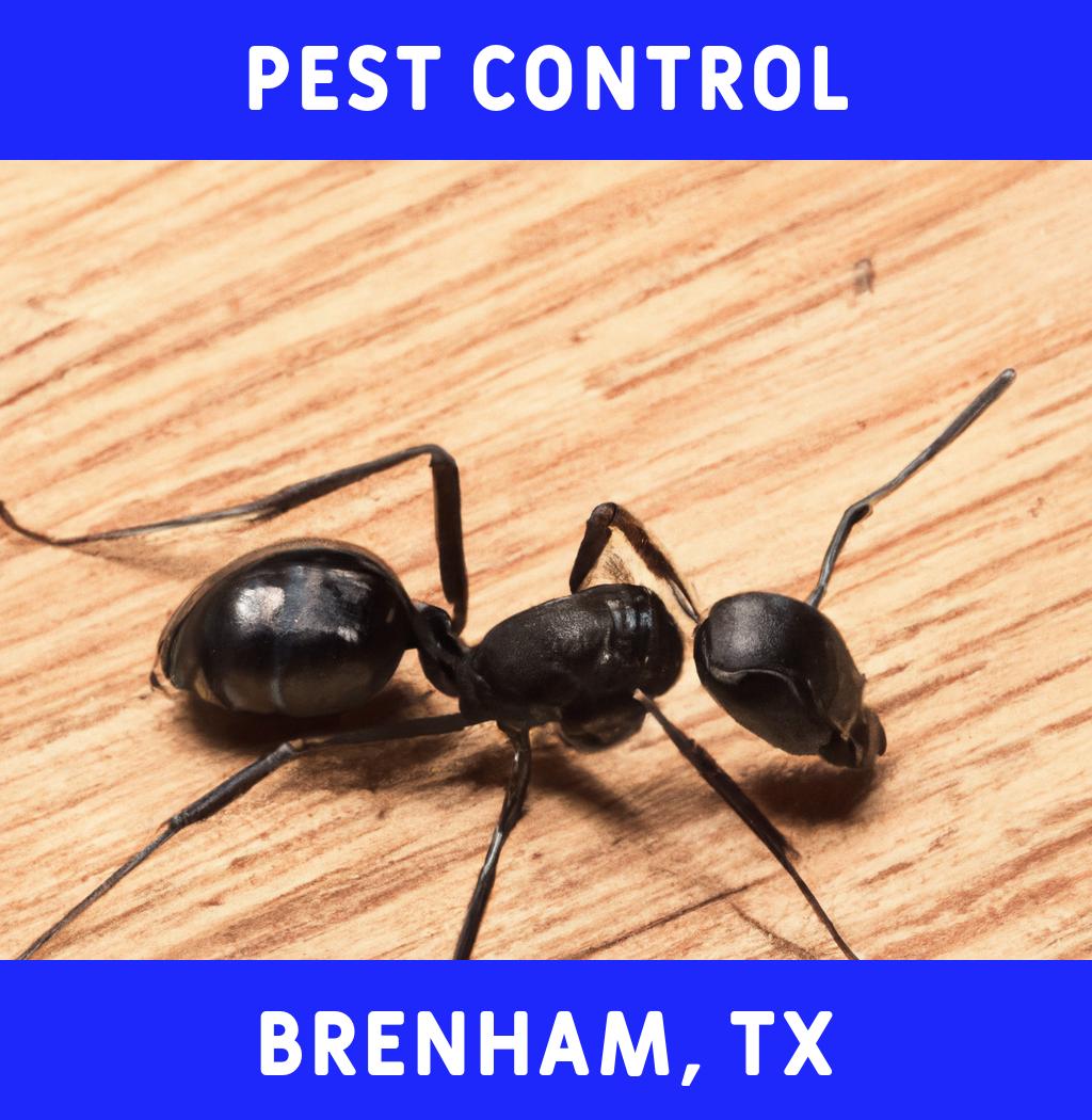 pest control in Brenham Texas