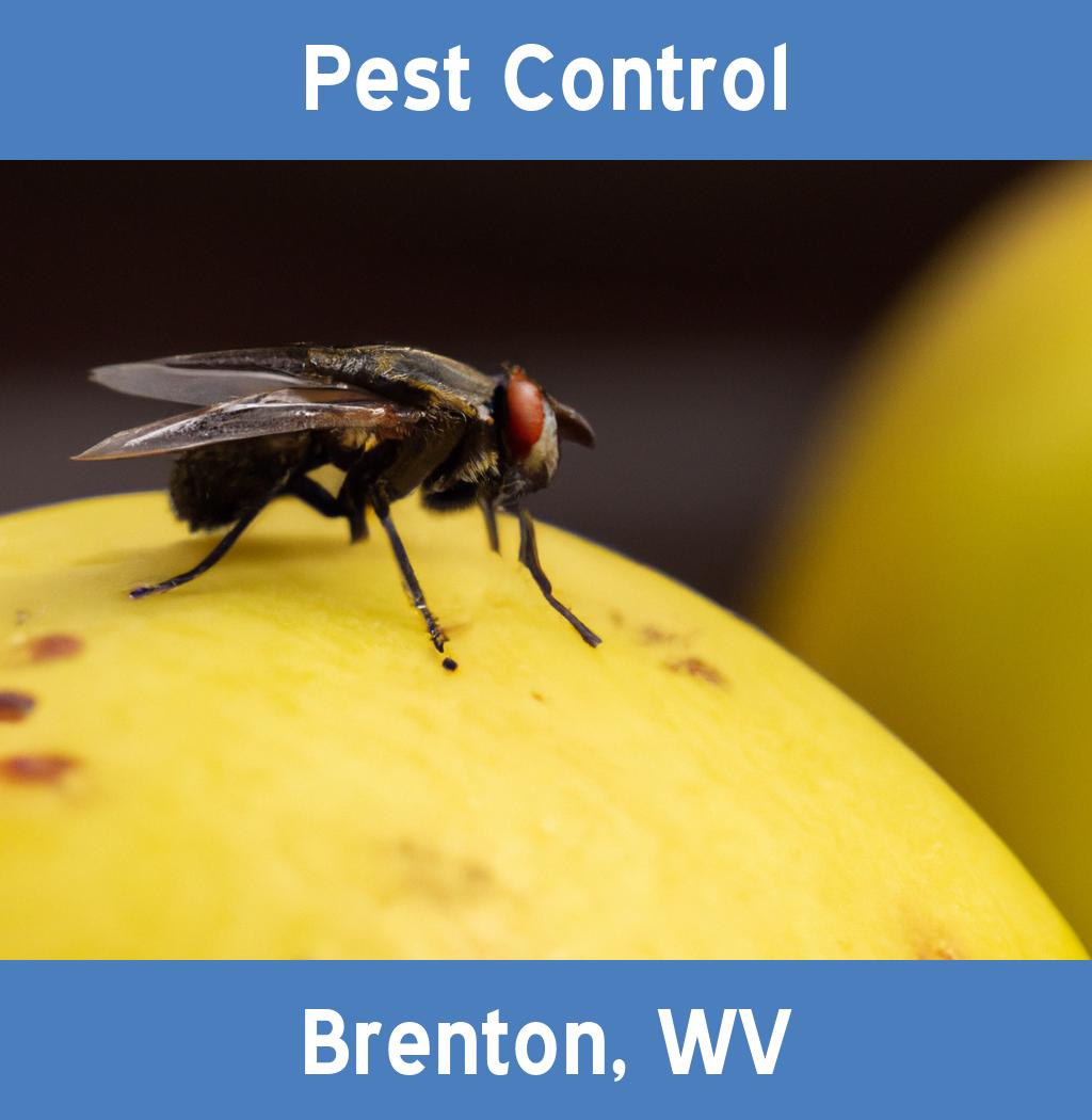 pest control in Brenton West Virginia