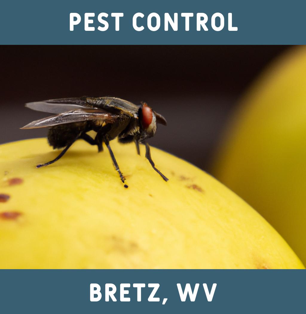 pest control in Bretz West Virginia