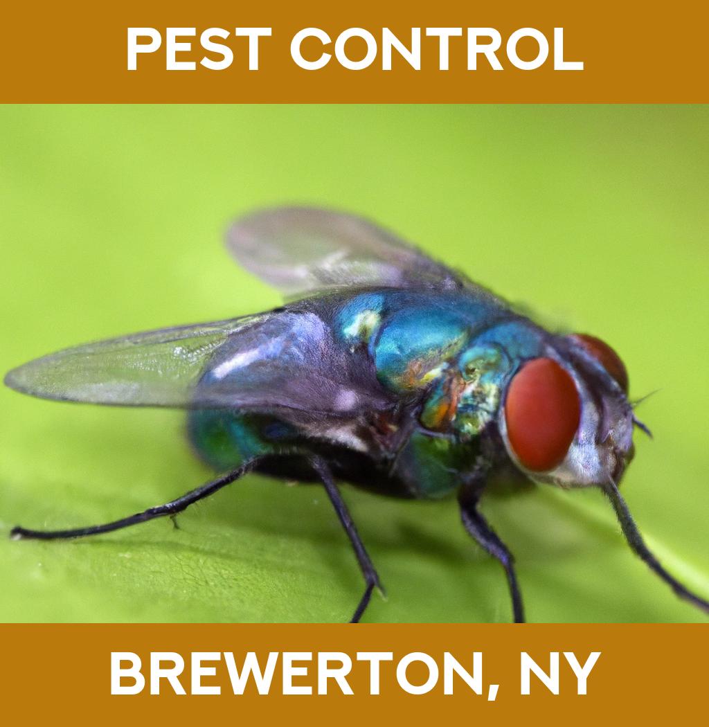 pest control in Brewerton New York