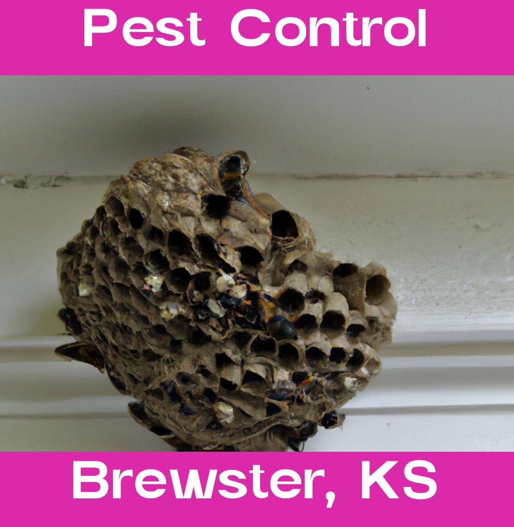 pest control in Brewster Kansas