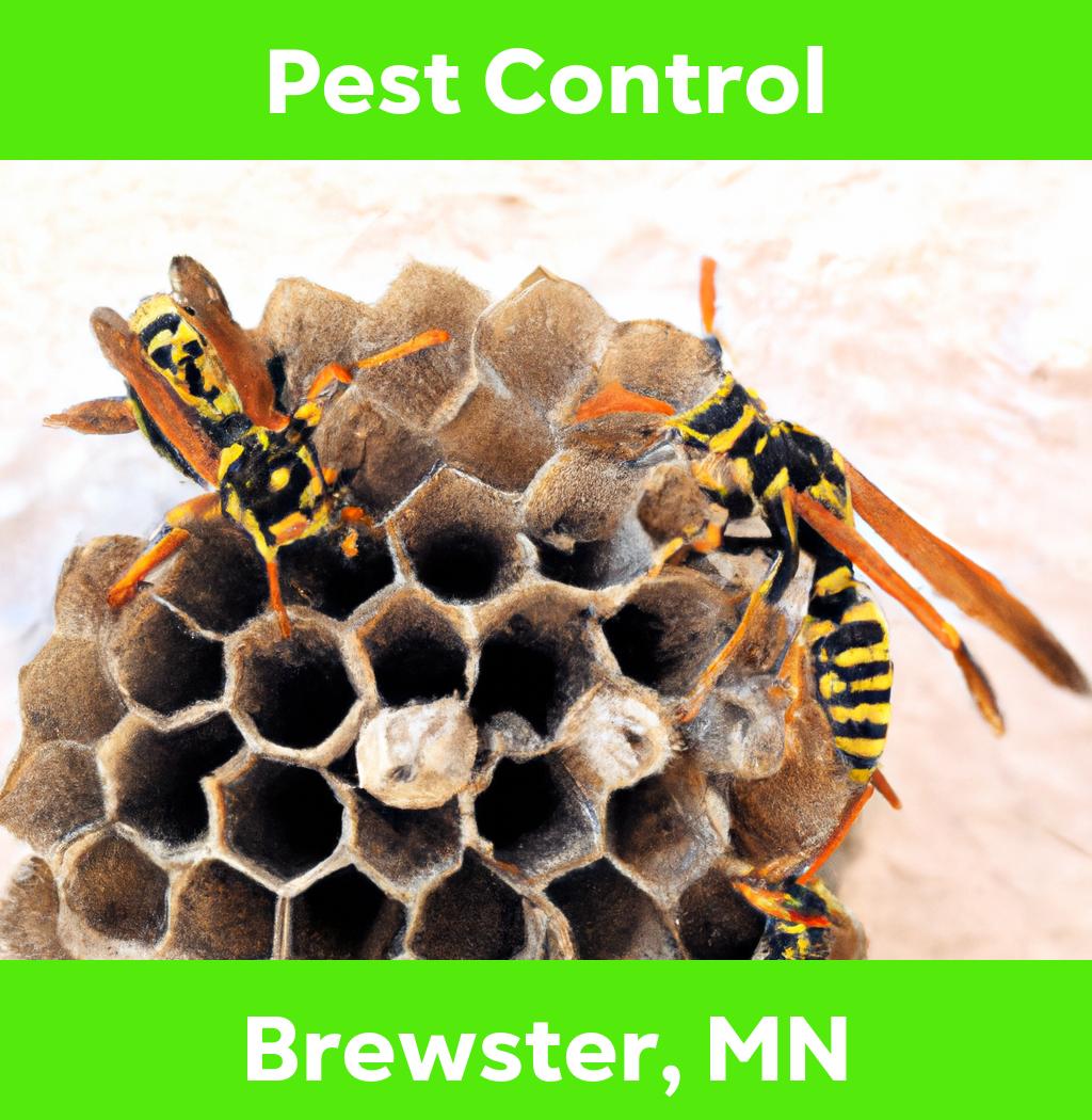 pest control in Brewster Minnesota