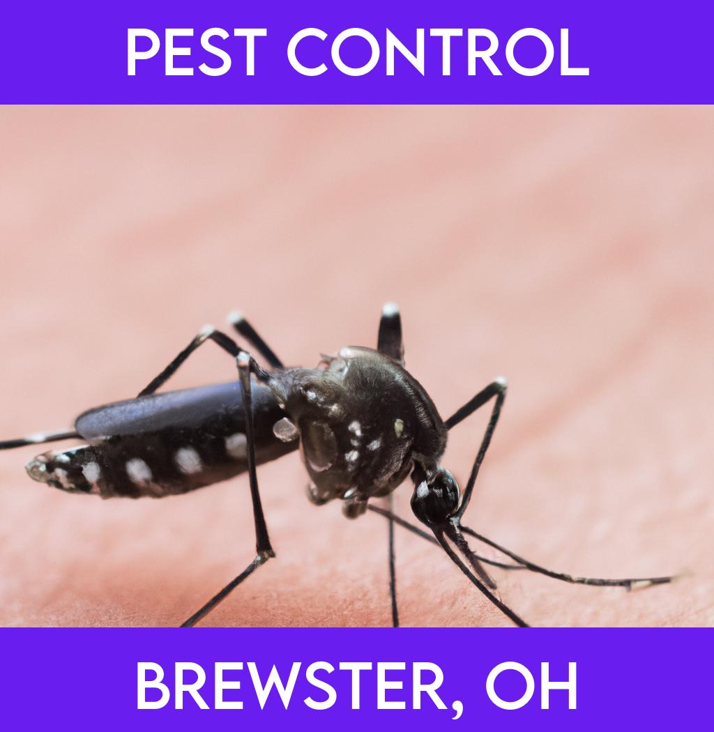 pest control in Brewster Ohio