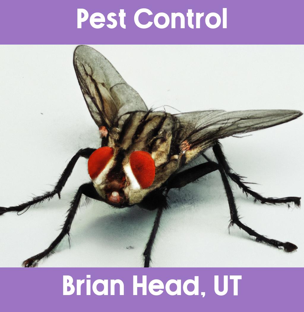 pest control in Brian Head Utah