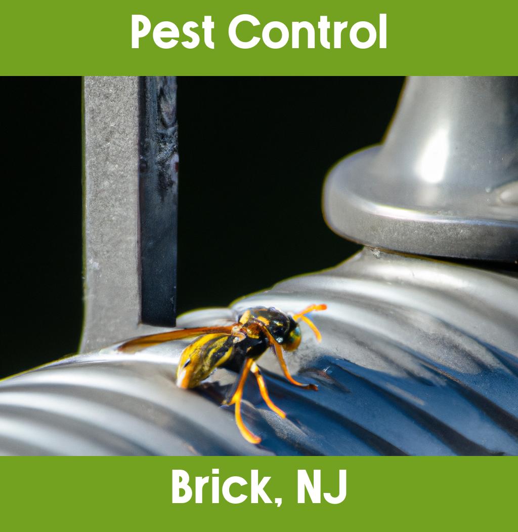 pest control in Brick New Jersey