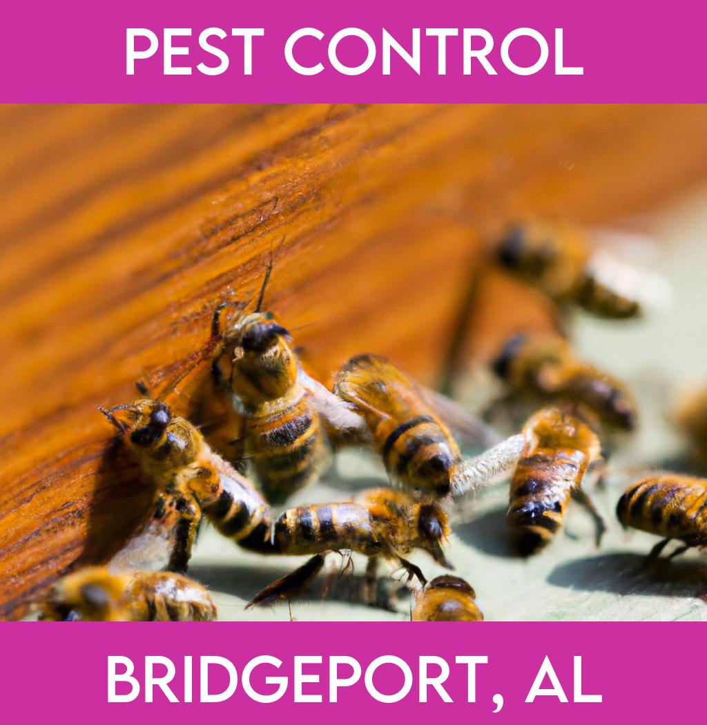 pest control in Bridgeport Alabama