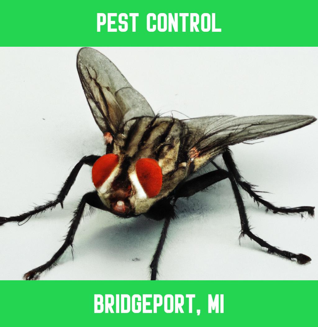 pest control in Bridgeport Michigan