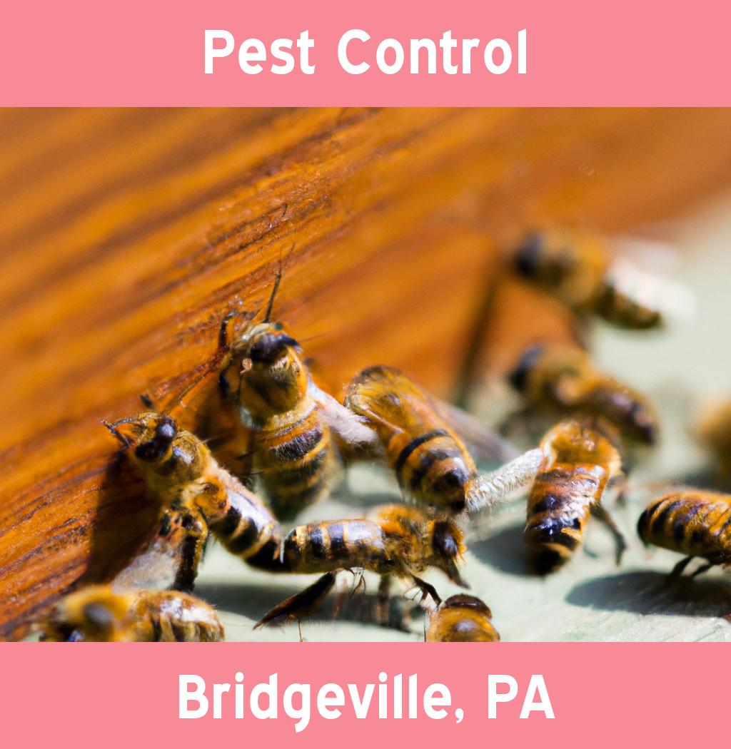 pest control in Bridgeville Pennsylvania