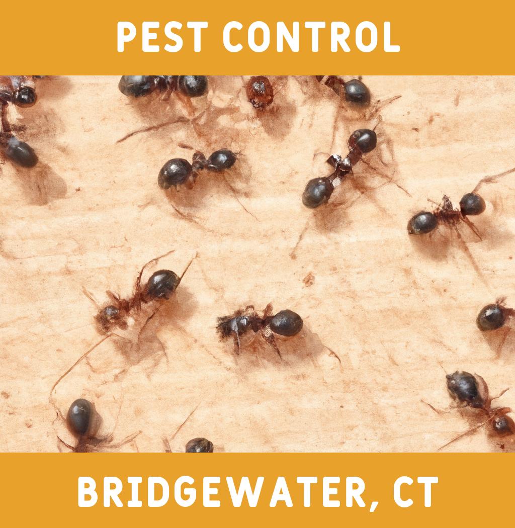 pest control in Bridgewater Connecticut