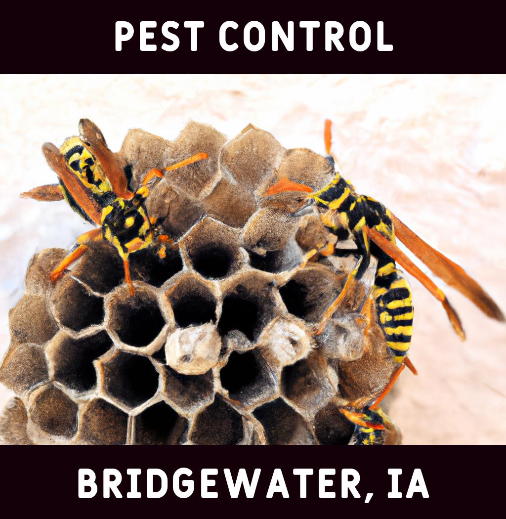 pest control in Bridgewater Iowa