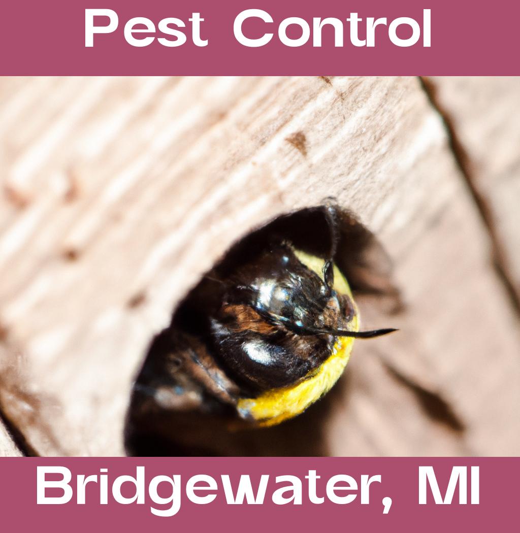 pest control in Bridgewater Michigan