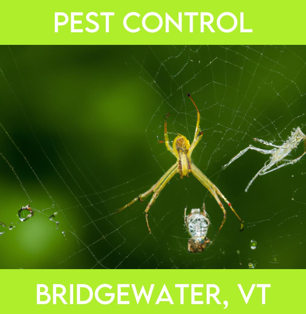 pest control in Bridgewater Vermont