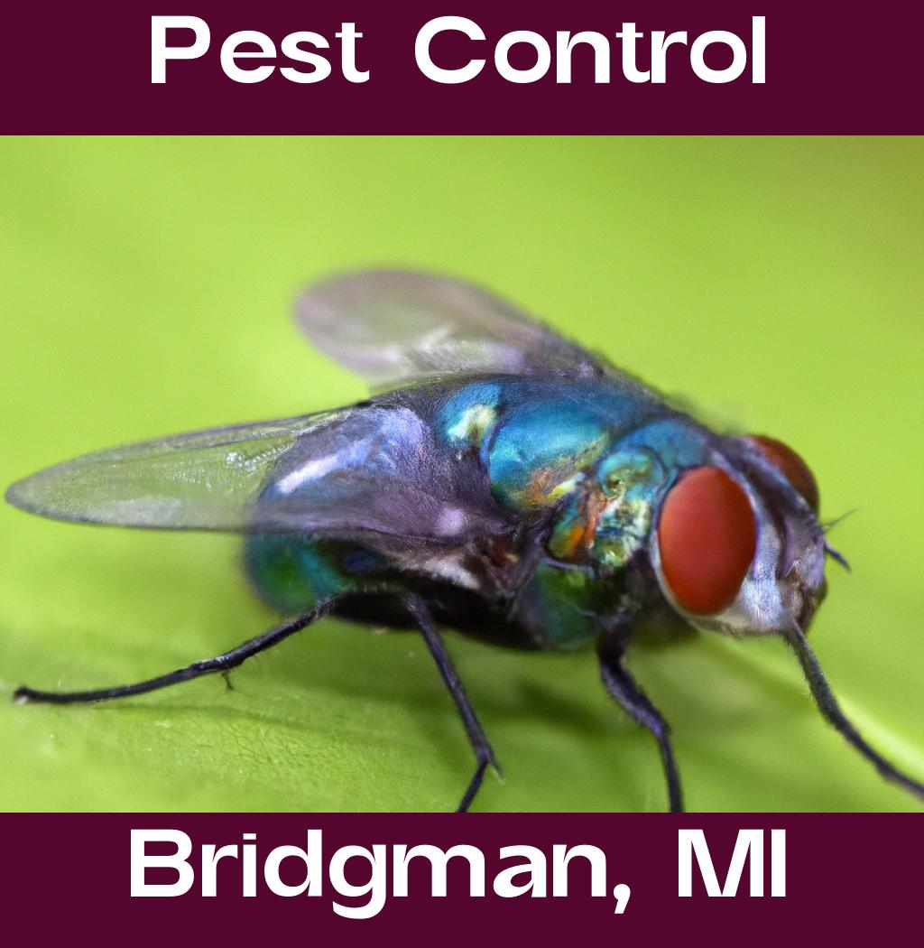 pest control in Bridgman Michigan