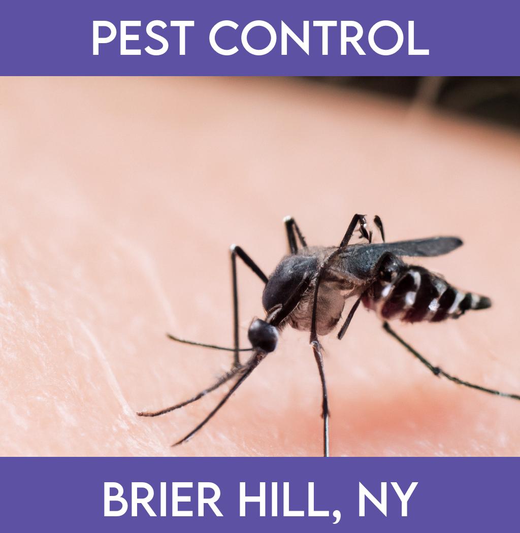 pest control in Brier Hill New York