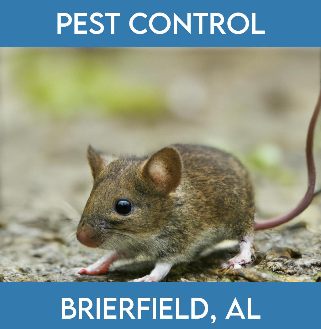 pest control in Brierfield Alabama