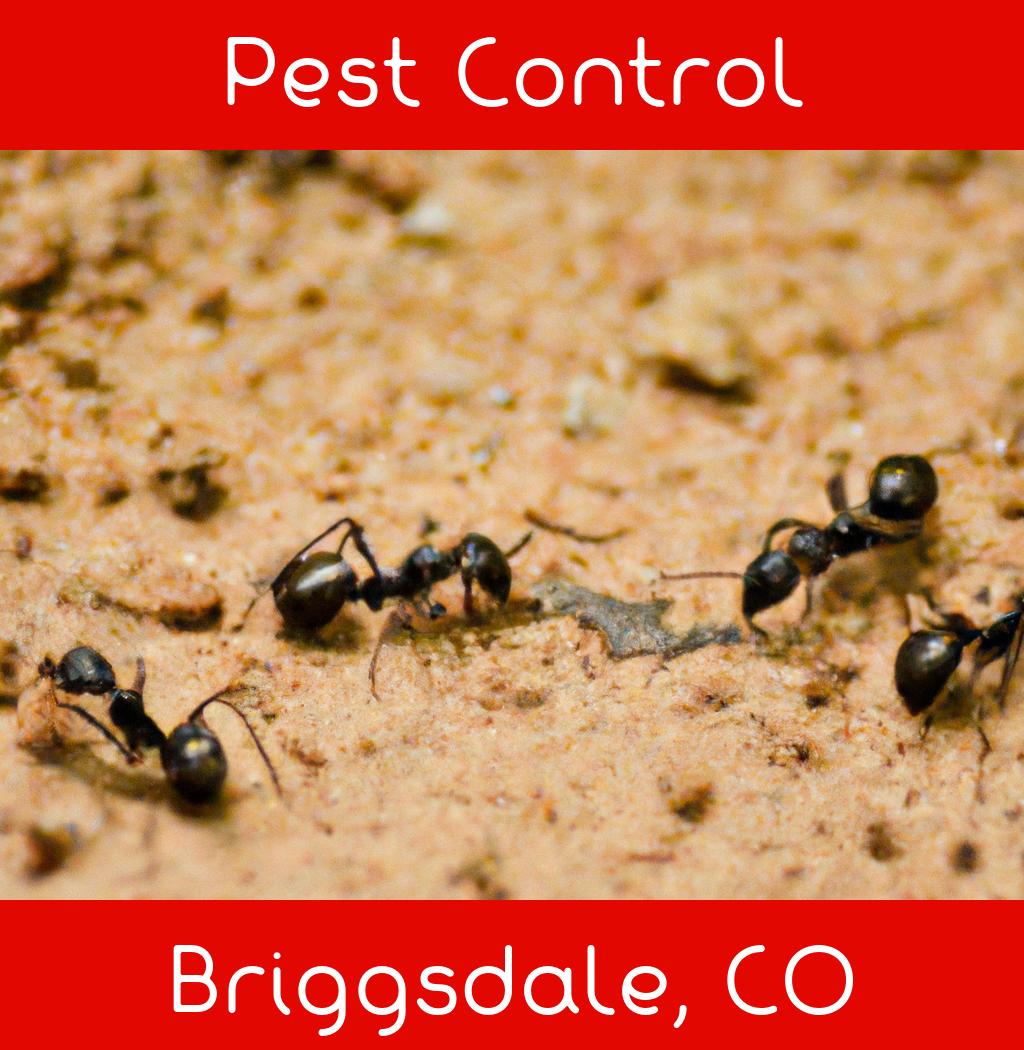 pest control in Briggsdale Colorado