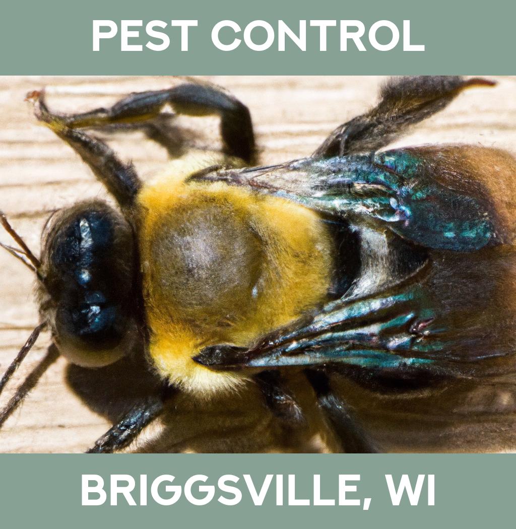 pest control in Briggsville Wisconsin