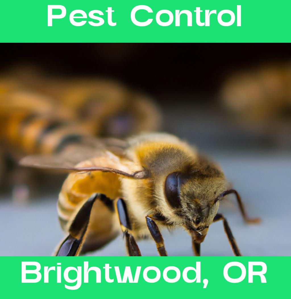 pest control in Brightwood Oregon