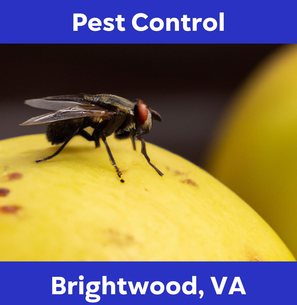 pest control in Brightwood Virginia