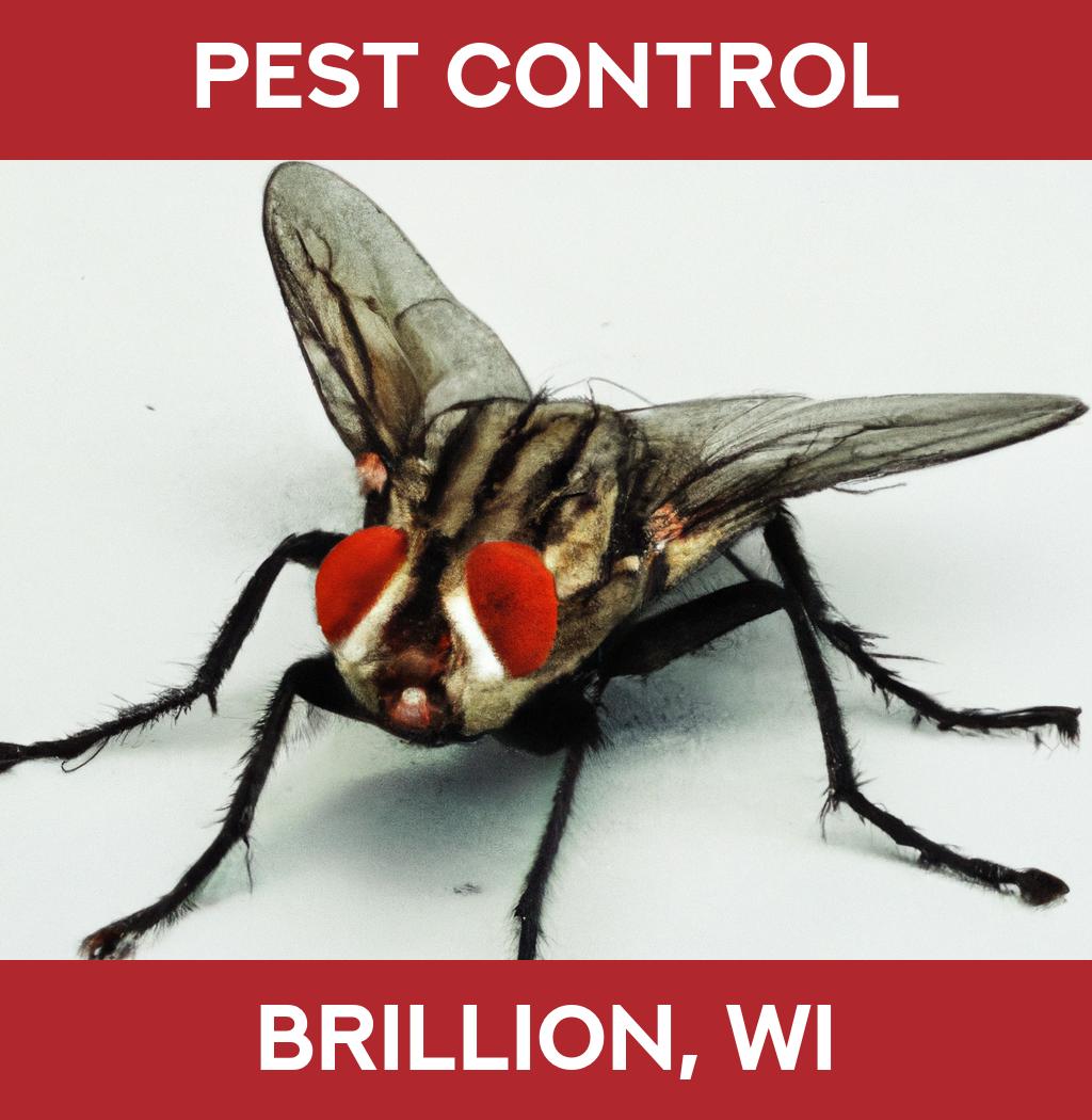 pest control in Brillion Wisconsin