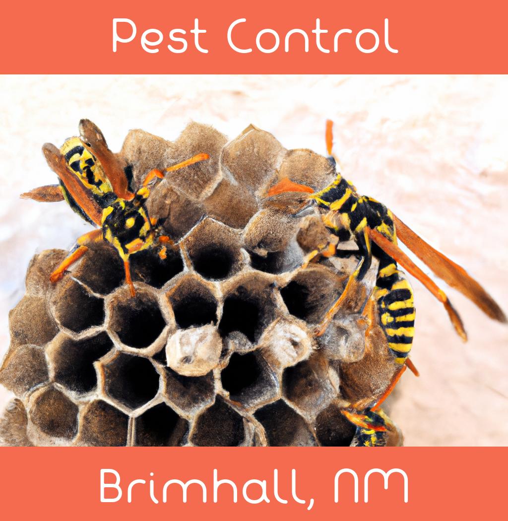 pest control in Brimhall New Mexico