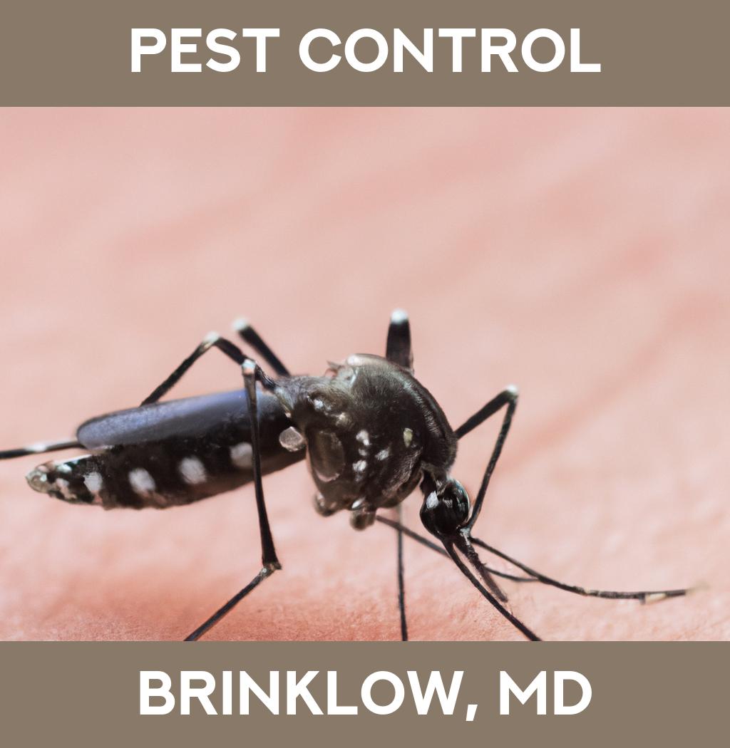 pest control in Brinklow Maryland