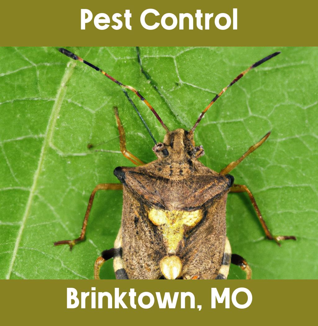 pest control in Brinktown Missouri