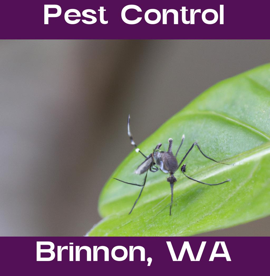 pest control in Brinnon Washington