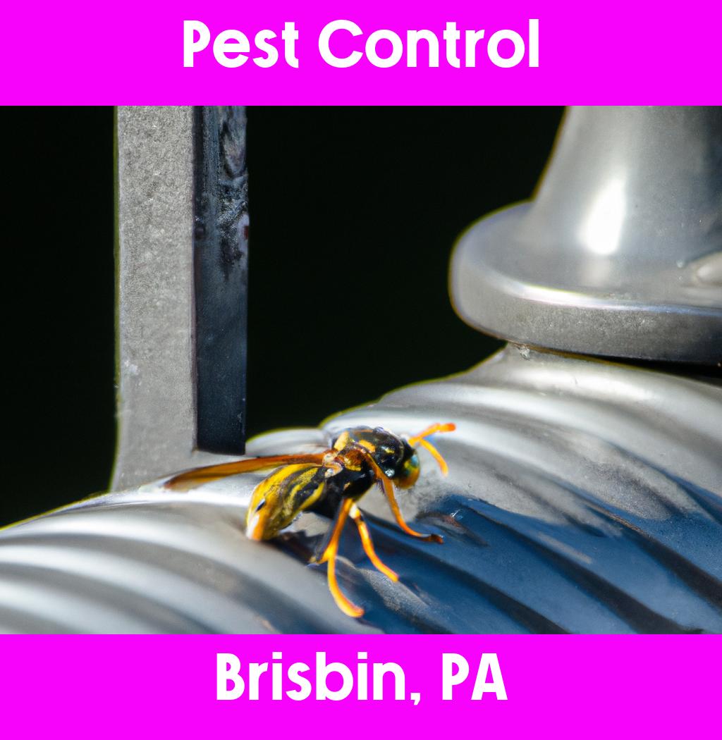pest control in Brisbin Pennsylvania