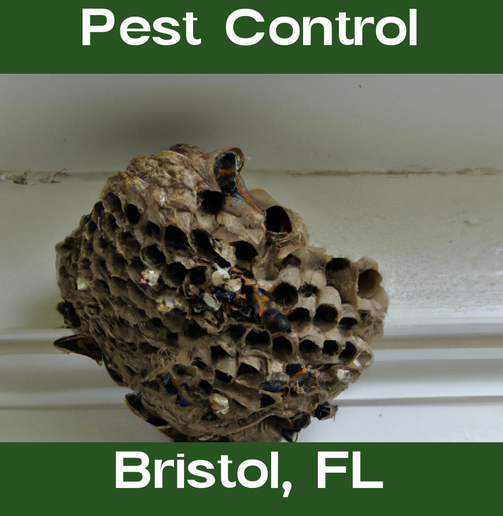 pest control in Bristol Florida