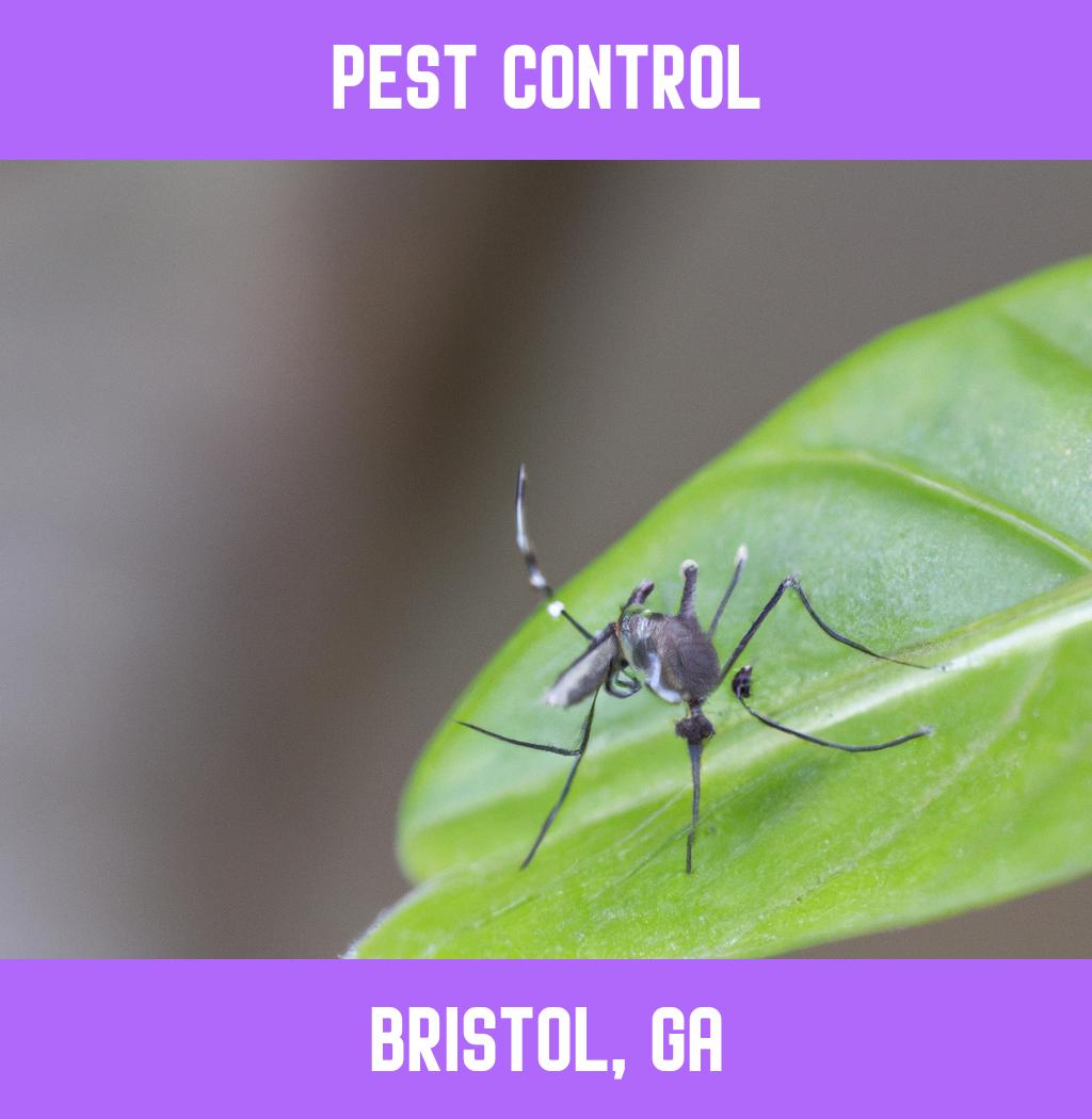 pest control in Bristol Georgia