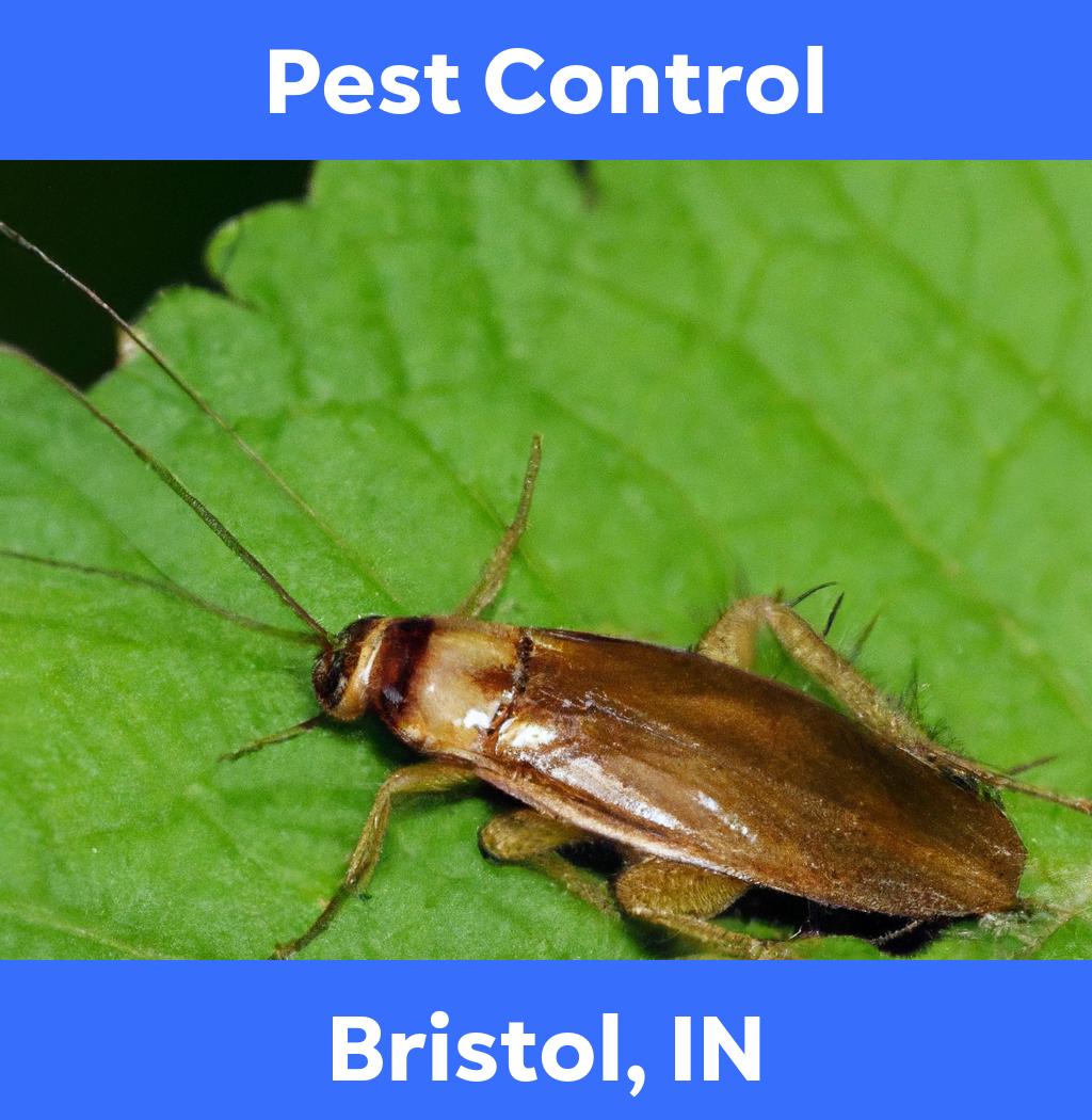 pest control in Bristol Indiana