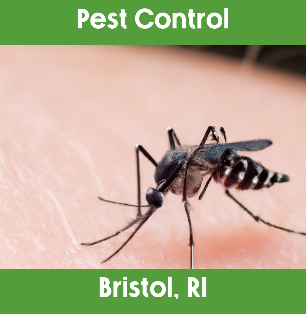 pest control in Bristol Rhode Island