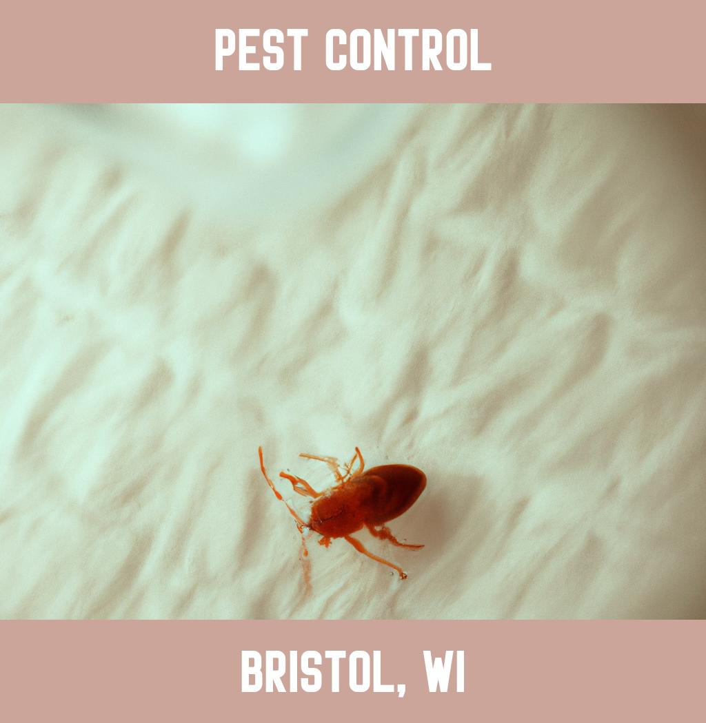 pest control in Bristol Wisconsin
