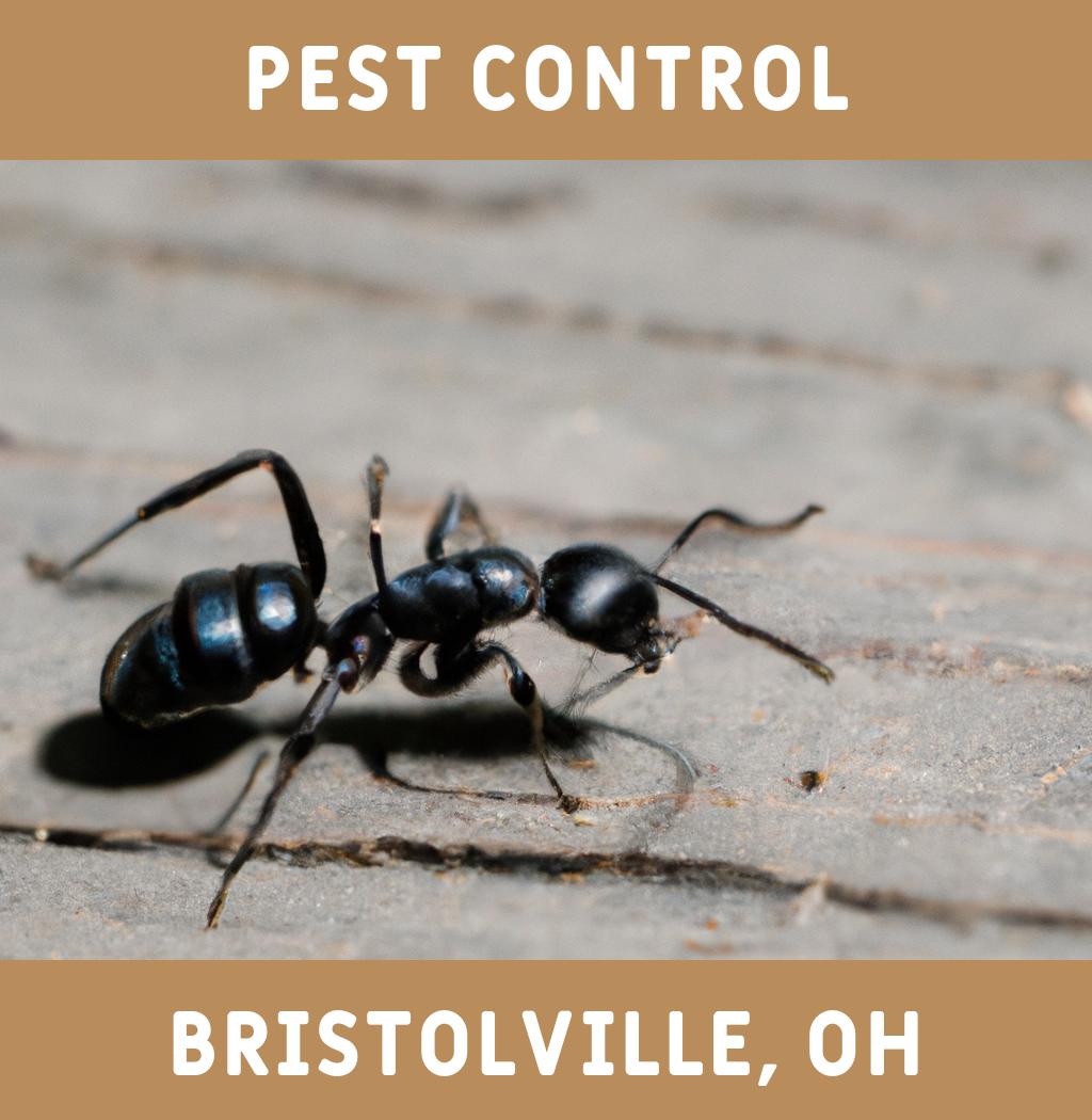 pest control in Bristolville Ohio