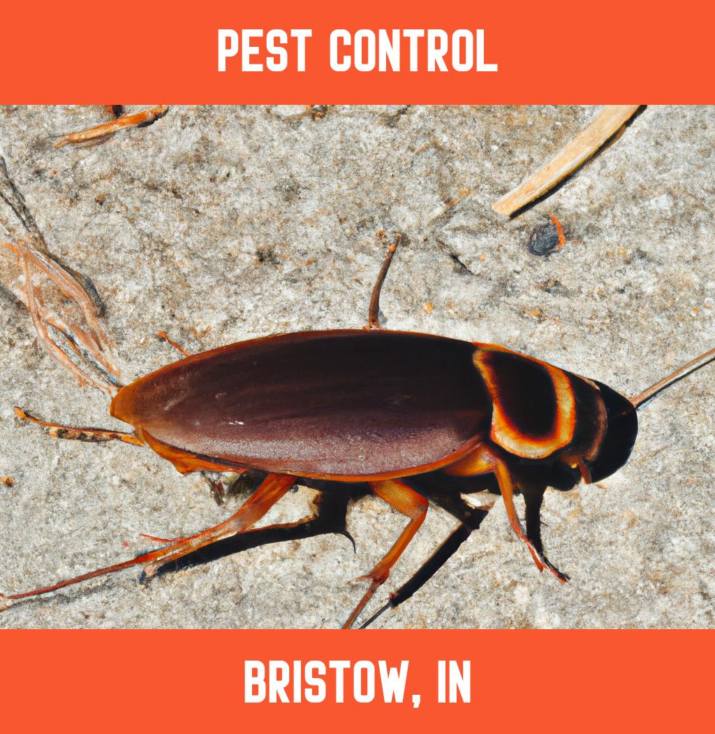 pest control in Bristow Indiana