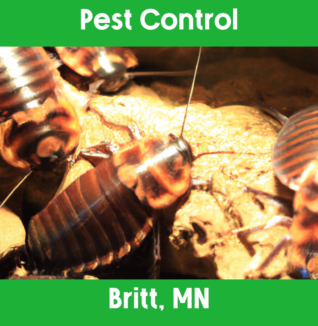 pest control in Britt Minnesota